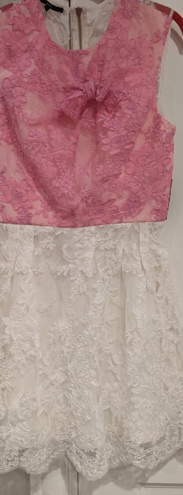 Alex Perry Beautiful summer lace party dress